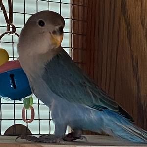 Meet your Posher, Tammy